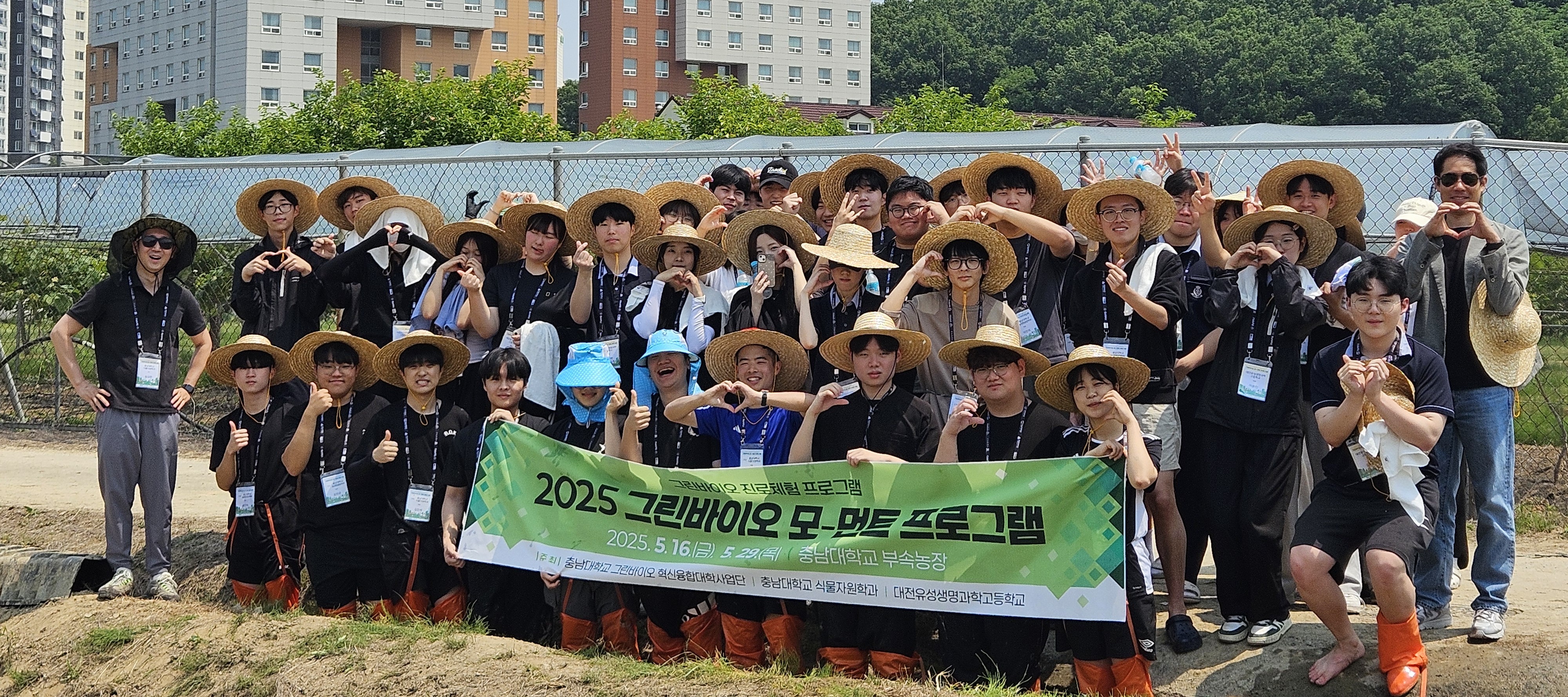 충남대학교 그린바이오 혁신융합대학사업단에서는 식물자원학과, 유성생명과학고등학교와 함께 학생들이 벼 중심의 유전 육종에 대한 이론 및 실습을 통해 전문성을 강화하고, 배운 이론을 지역에 환원하는 '2025학년도 그린바이오 모-먼트 프로그램' 실습을 개최하였습니다. - 운영일시: 2025년 5월 29일 - 운영장소: 충남대학교 농업생명과학대학 부속농장 - 참여대상: 충남대학교 재학생, 유성생명과학고등학교 학생 40여명 - 운영내용: 벼 중심의 육종에 대한 실습 실시
