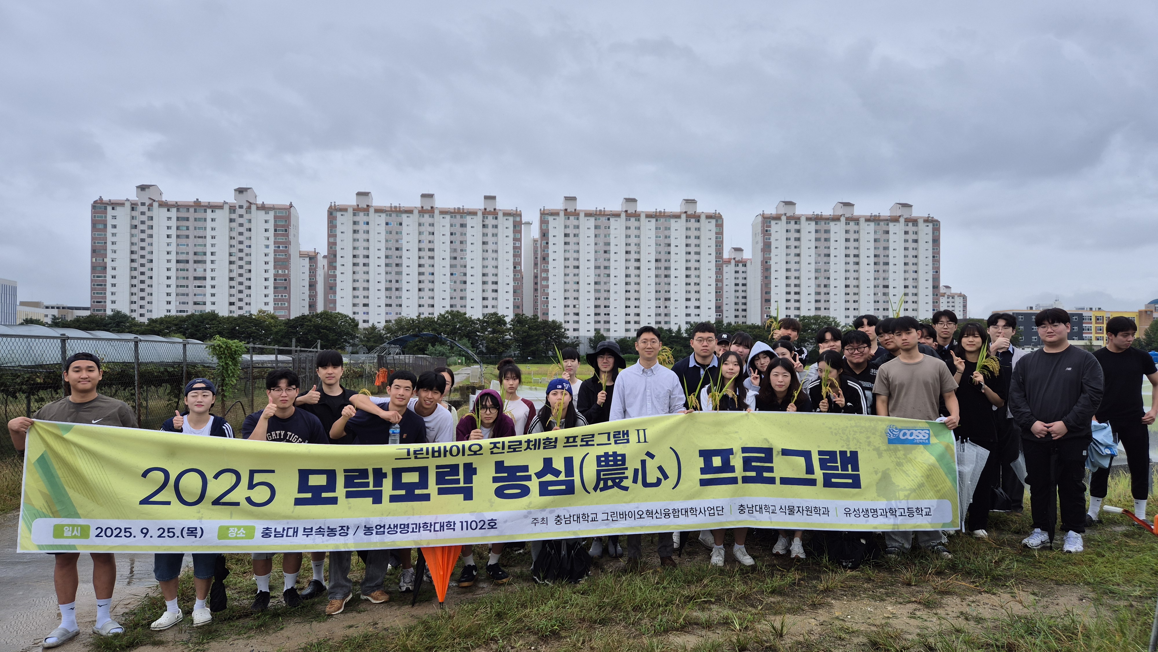 충남대학교 그린바이오 혁신융합대학사업단에서는 식물자원학과, 유성생명과학고등학교와 함께 진행했던 '2025 그린바이오 모-먼트 프로그램'의 후속 프로그램으로서 학생들이 벼 중심의 유전 육종에 대한 이론 및 실습을 통해 전문성을 강화하고, 배운 이론을 지역에 환원하는 '2025 모락모락 농심(農心) 프로그램' 을 운영하였습니다. - 운영일시: 2025년 9월 25일 - 운영장소: 충남대학교 농업생명과학대학 제 1강당 및 부속농장 - 참여대상: 충남대학교 재학생, 유성생명과학고등학교 학생 30여명 - 운영내용: 벼 중심의 육종 관련 이론 학습 및 벼 재배지 탐방